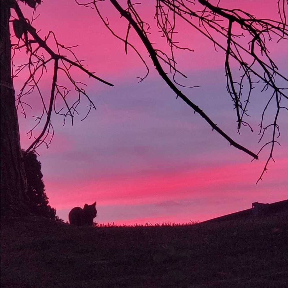 Meet your Posher, Juliette